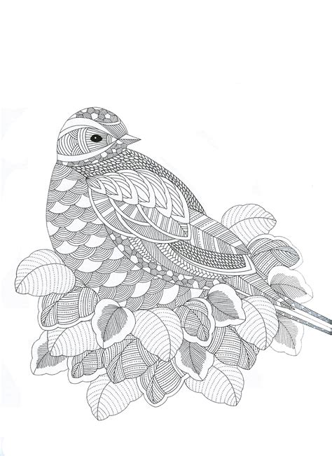 Zentangle Bird Coloring Pages