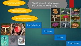 Classification Of Fungi PPT