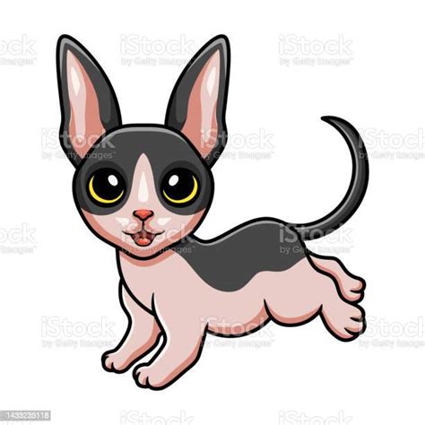 Cute Cat Cornish Rex Cartoon Stock Illustration Download Image Now