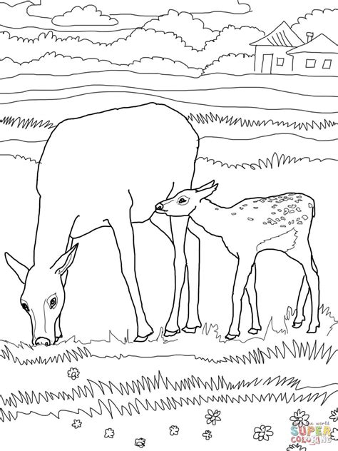 Free Printable Elk Coloring Pages Coloring Home