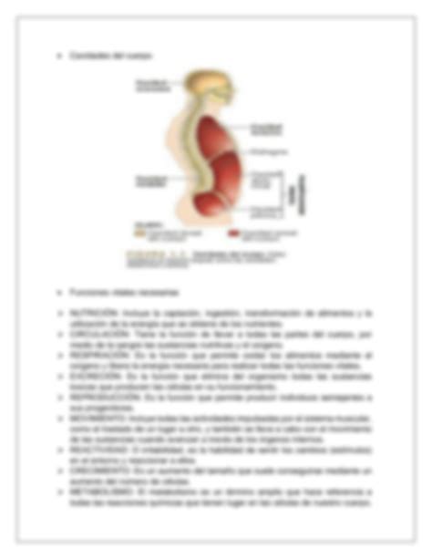 Solution Posiciones Anat Micas Enfermer A Medicina Studypool