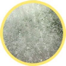 Types of Mold - White, Pink, Green and Yellow Mold