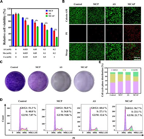 Frontiers A Multifunctional Oxidative Stress Nanoamplifier With Ros