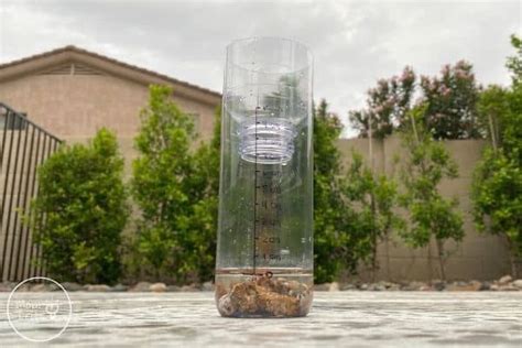 How to Build an Easy DIY Rain Gauge – Mallize