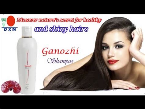 Dxn Ganozhi Shampoo Benefits Of Dxn Ganozhi Shampoo Dxn Shazia