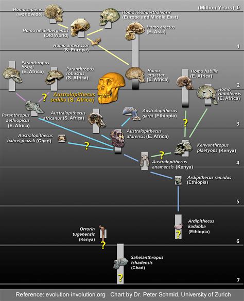 Evolution Involution Slideshow