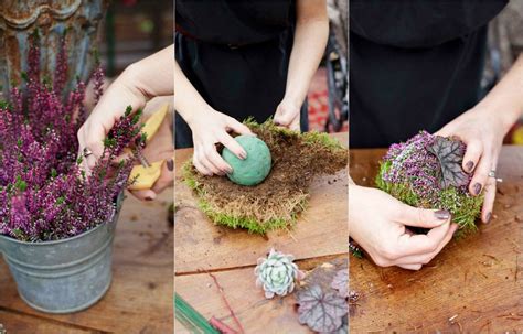 Mit Erika Heidekraut Haus Und Terrasse Herbstlich Dekorieren