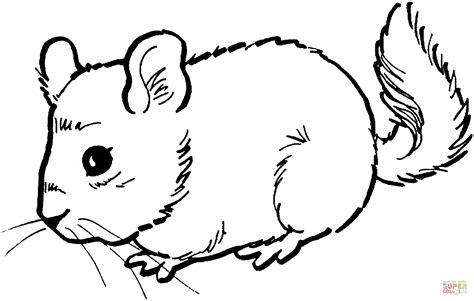 Cute Mouse coloring page | Free Printable Coloring Pages