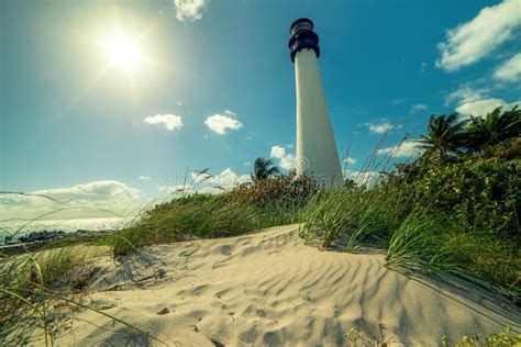 Lighthouse On The Beach Of The Atlantic Ocean Among Tropical Plants