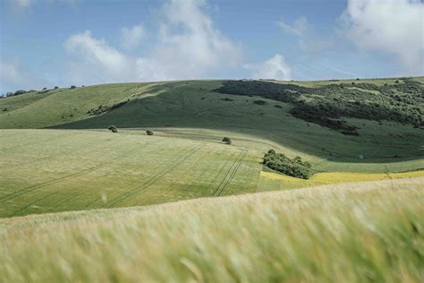 SOUTH DOWNS WAY 100 World Trail Majors