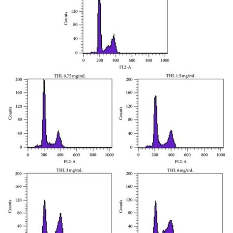 Thl Arrested The Cell Cycle Of Mcf 7 Cells In G2m Phase Mcf 7 Cells Download Scientific