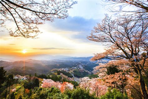 Mount Yoshino Timestravel