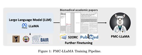 Finetuning Llama On Medical Papers Meet Pmc Llama A Mannequin That