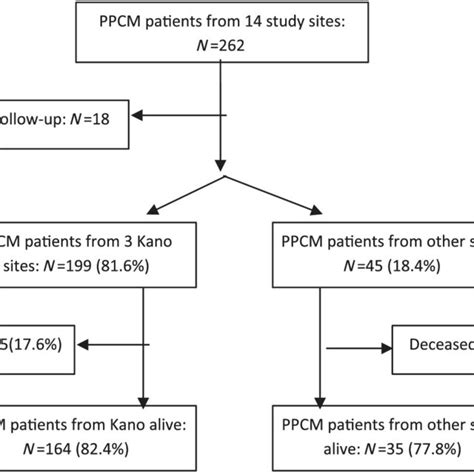 Study Flow Ppcm Peripartum Cardiomyopathy N Number Of Patients