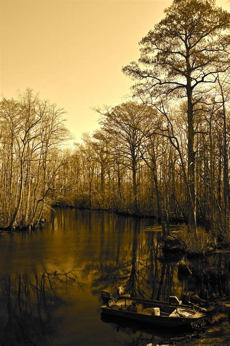 Cashie River, Bertie County, NC | River, Roanoke, Ancestral