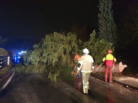 Baum Droht Auf Haus Zu St Rzen Freiwillige Feuerwehr Bergheim