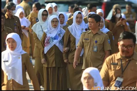 Jadwal Dan Syarat Seleksi Pppk Cpns Provinsi Kabupaten Kota Kementerian