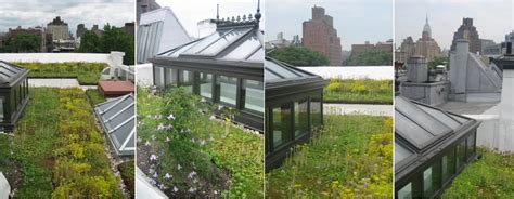 Interview Amy Norquist Of Greensulate Talks Green Roofs And