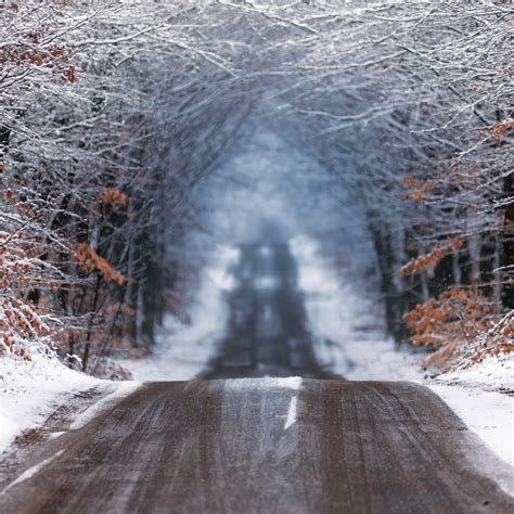 2048x2048 Forest Road In Winter Ipad Air Wallpaper Hd Nature 4k