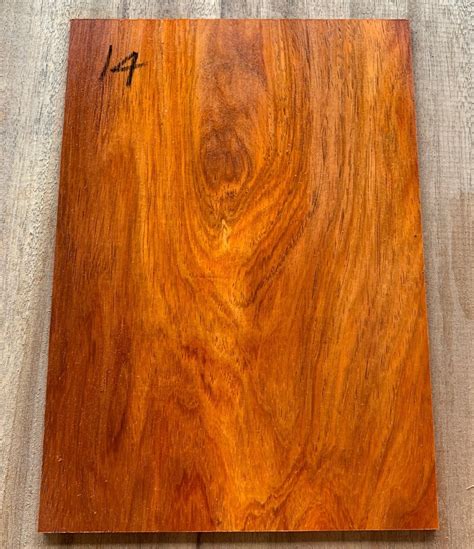 Red Rosewood Amboyna Headstock Veneer 2 Australian Guitar Timbers