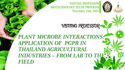 VISITING PROFESSOR PLANT MICROBE INTERACTIONS APPLICATION OF PGPR IN