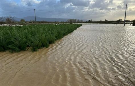 La Tempesta Ciaran Mette Di Nuovo In Ginocchio Lagricoltura Dal Fiume