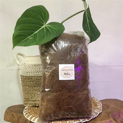 Jual Coconut Fiber Sabut Kelapa Shopee Indonesia