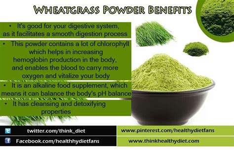 Wheatgrass Powder Benefits Wheatgrass Benefits Wheat Grass