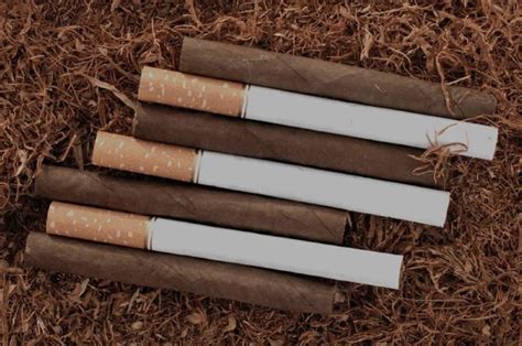 Cigars Vs Cigarettes Unraveling The Contrasts In Smoking Habits