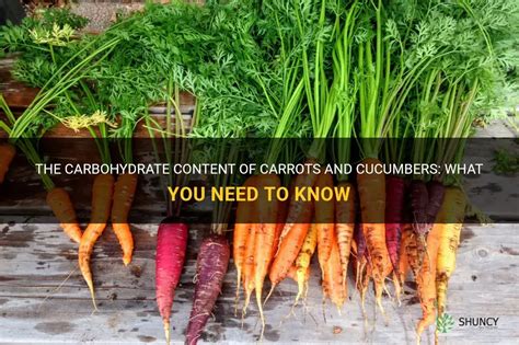 The Carbohydrate Content Of Carrots And Cucumbers What You Need To