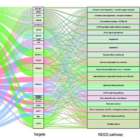 Kegg Enrichment Analysis For Potential Gbe Targets For Pd Sankey