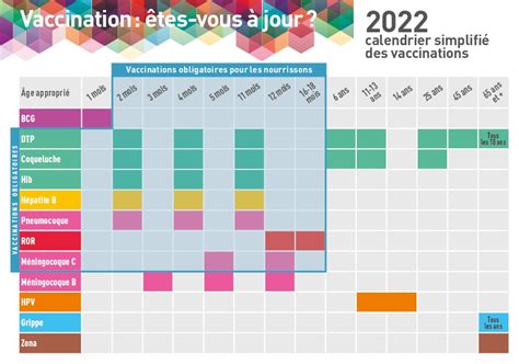 Recommandations Aux Voyageurs Vaccination Info Service