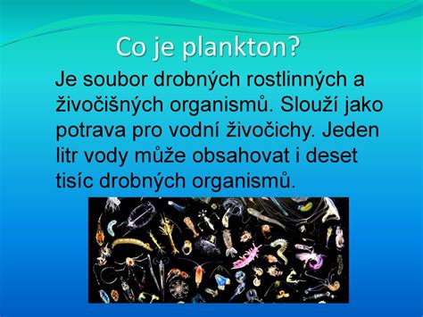 Život v oceánech a mořích. - ppt stáhnout