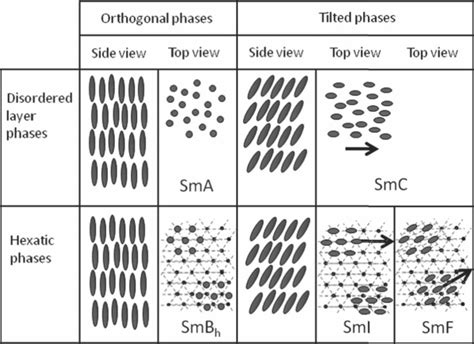 Smectic Phases Nmr Of Liquid Crystal Dendrimers