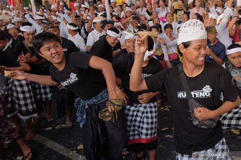 Tradisi Perang Ketupat Di Bali Antara News