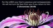 Chronicles B Bible Verse Nlt Dailyverses Net