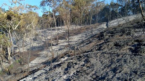 Incêndios em Guabiruba atingem áreas de vegetação e reflorestamento