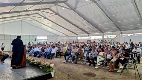 Congreso Del Aguacate De Jalisco Calidad Y Sustentabilidad