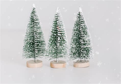 Happy Holidays From Legacy Solar Co Op • Legacy Solar Co Op