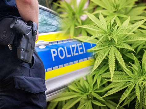 Cannabis Legalisierung Das gilt für MVs Polizei