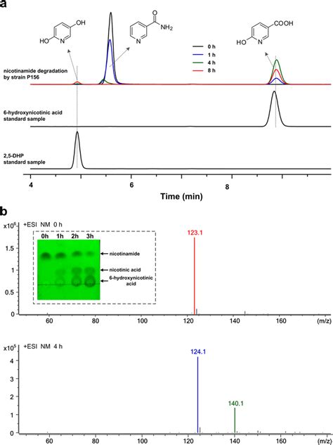 Hplc And Esi Ms Analysis Of Nicotinamide Degradation By Alcaligenes Sp