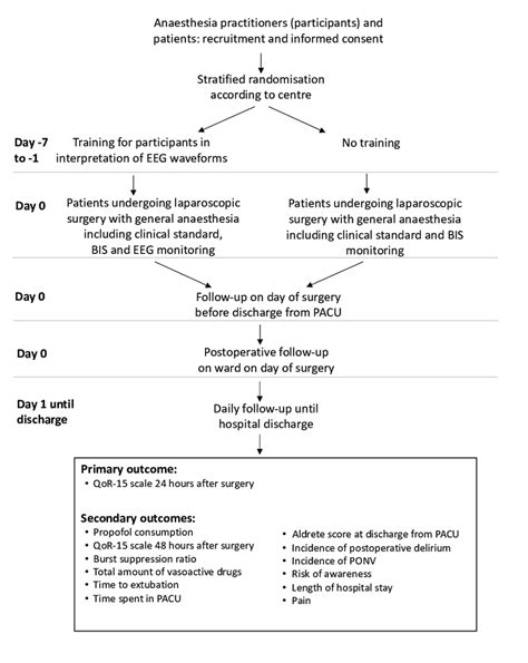 Trial flow chart. BIS, Bispectral Index; EEG, electroencephalogram ...