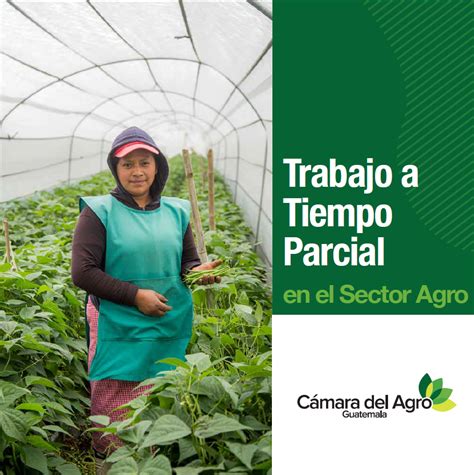 Políticas Cámara del Agro Guatemala