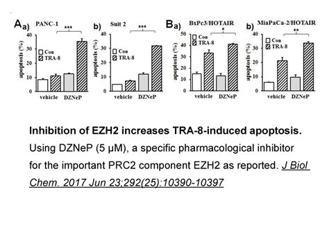 Apexbio Deazaneplanocin Dznep S Adenosylhomocysteine And