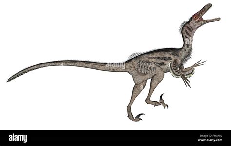 Velociraptor Dinosaur 3d Render Stock Photo Alamy