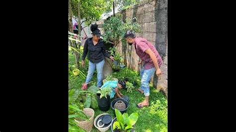 Indoor Plant ඇයි ඔයාගේ නිවසට අවශ්‍ය 🤗🤗🤗 Youtube