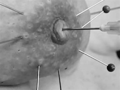 Needle 1 Nude Pics XHamster