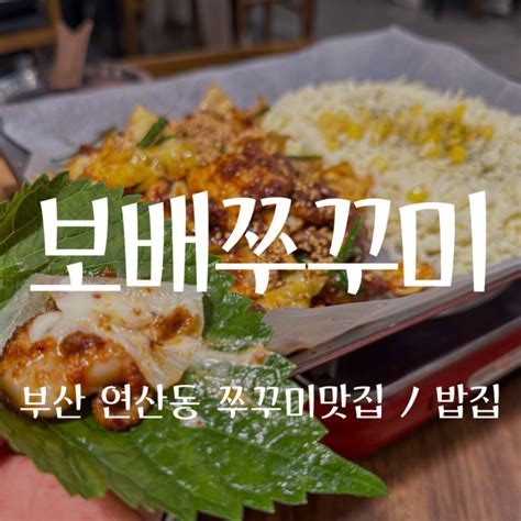 부산 연산동밥집 맛집 보배쭈꾸미 연산점 네이버 블로그