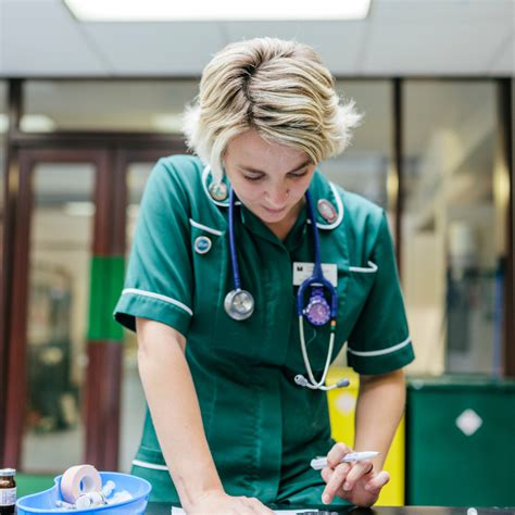 Six Ways To Support Menstrual Health In The Veterinary Workplace