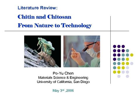 Literature Review Chitin And Chitosan From Nature To